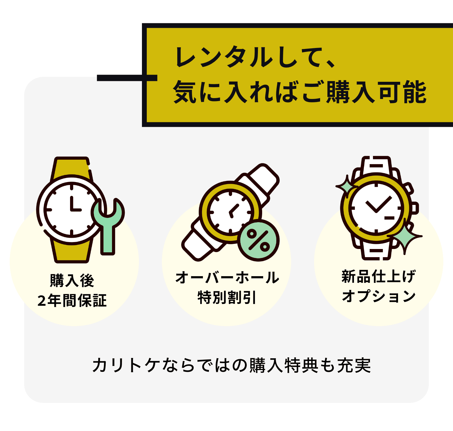 レンタルして、気に入ればご購入可能